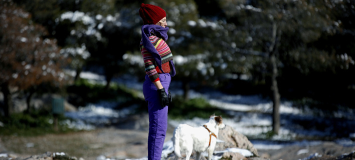 Φωτογραφία: EUROKINISSI/ΣΤΕΛΙΟΣ ΜΙΣΙΝΑΣ