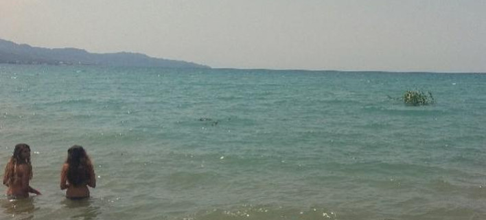 φωτογραφίες: tharrosnews.gr