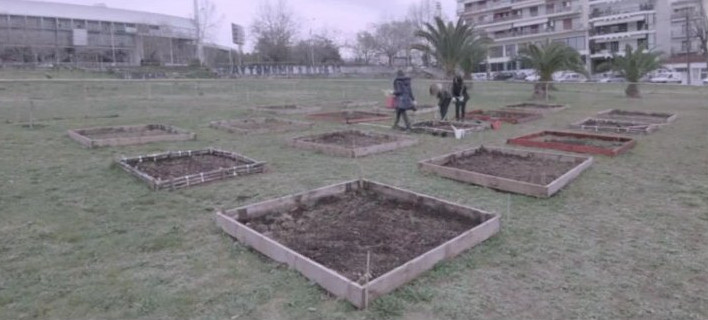 Φτιάχνουν κήπους στην πόλη [εικόνες & βίντεο]