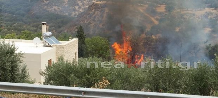 ΦΩΤΟΓΡΑΦΙΑ: neakriti.gr
