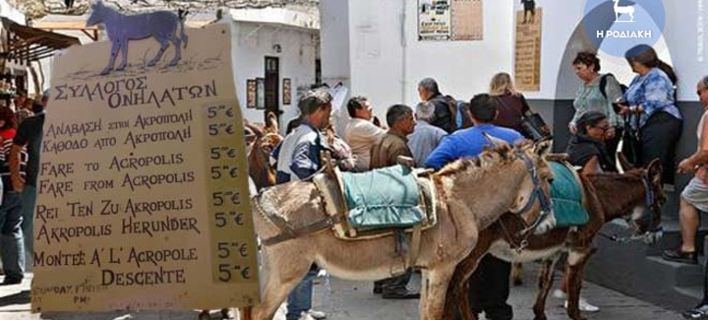 Το ΣΔΟΕ έκοψε πρόστιμα στα... γαϊδουράκια της Λίνδου