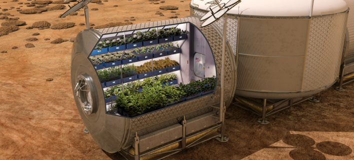 Ποιες καλλιέργειες μπορούν να αναπτυχθούν στον Αρη – Βρήκαν τη λύση οι ερευνητές