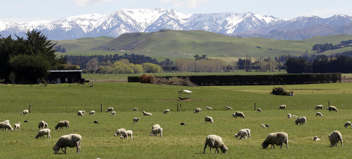 ΦΩΤΟΓΡΑΦΙΕΣ: ΑΡ