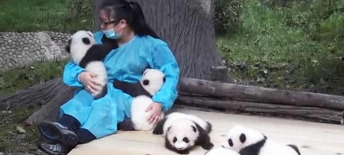 «Αγκαλίτσας» των μικρών πάντα: Η καλύτερη δουλειά του κόσμου με αποδοχές 32.000 δολάρια το χρόνο [εικόνα & βίντεο] 