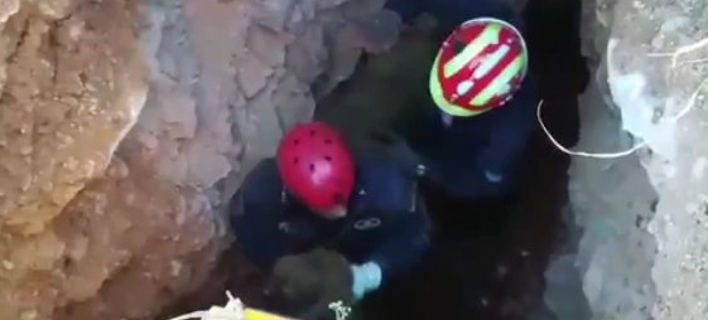 Αποτέλεσμα εικόνας για Ν. Πέραμος απεγκλωβισμός νεογέννητου κουταβιού
