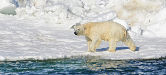 Φωτογραφία: ΑΡ