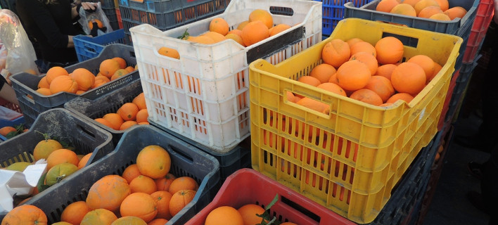 Ελληνες εξαγωγείς: Είμαστε έτοιμοι για εξαγωγή φρούτων στη Ρωσία 