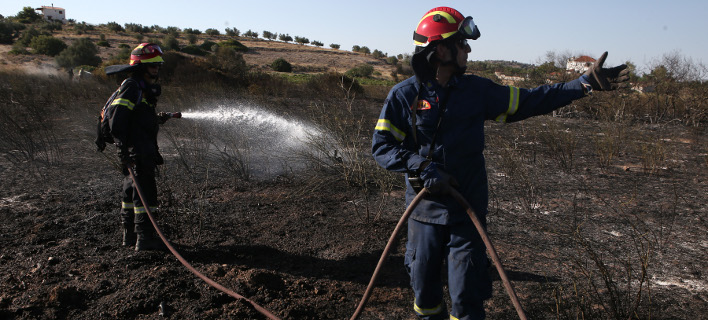 Φωτογραφία: intimenews/ΣΤΕΦΑΝΟΥ ΣΤΕΛΙΟΣ