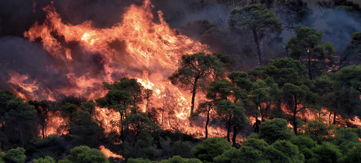 Αποτέλεσμα εικόνας για φωτια στα χωριά Βάτι και Προφύλια στη νότια Ρόδο