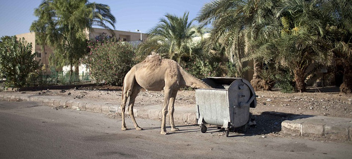 Περιοχή «φάντασμα» το Σαρμ Ελ Σέιχ: Μόνο καμήλες και λιγοστοί ντόπιοι κυκλοφορούν στους δρόμους [εικόνες]