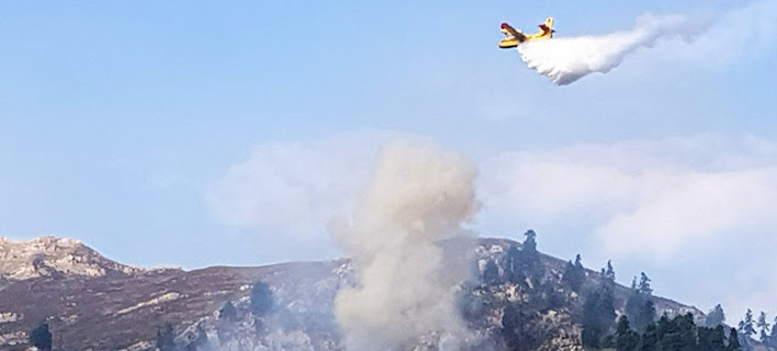 Πυρκαγιά ξέσπασε τα ξημερώματα κοντά στην Ιερά Μονή Σέλτσου / Φωτογραφία: Εpirus tv news