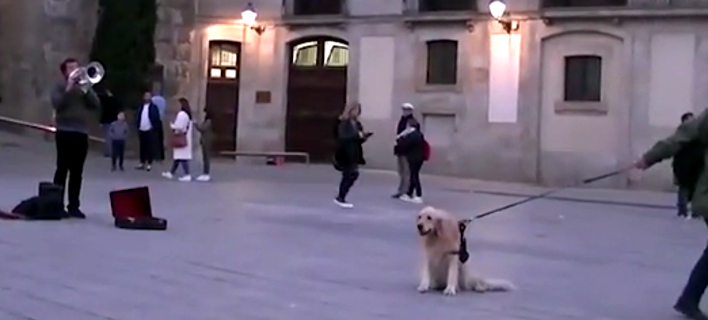 Viral: Σκύλος τρελαίνεται με μουσικό του δρόμου -Δεν έφευγε μέχρι να τελειώσει το τραγούδι [βίντεο]