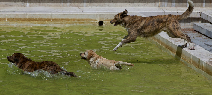 Φωτογραφία: AP 