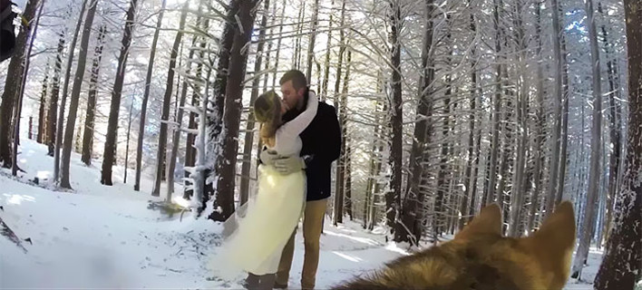 Ζευγάρι έβαλε τον σκύλο του να βιντεοσκοπήσει το γάμο του -Το αποτέλεσμα, επαγγελματικό [βίντεο]