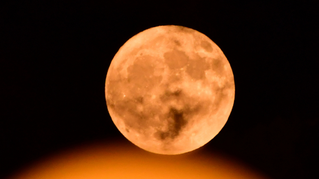 Î¦Ï‰Ï„Î¿Î³ÏÎ±Ï†Î¯Î±: Î‘Î Î•-ÎœÎ Î•/ÎœÎ ÎŸÎ¥Î“Î™Î©Î¤Î—Î£ Î•Î¥Î‘Î“Î“Î•Î›ÎŸÎ£ 