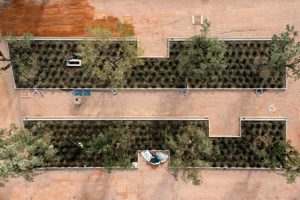 Aριστουργηματικές εικόνες από το Κέντρο Πολιτισμού | iefimerida.gr 4