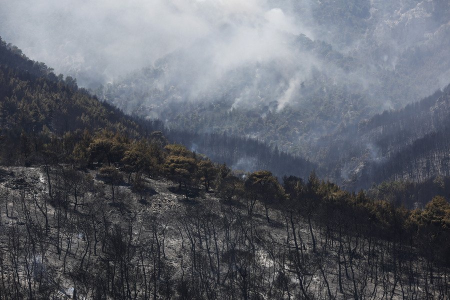 Ολονύχτια μάχη με την φωτιά στα Δερβενοχώρια -Κινδυνεύουν σπίτια | iefimerida.gr 7