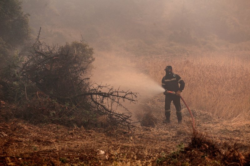 Ολονύχτια μάχη με την φωτιά στα Δερβενοχώρια -Κινδυνεύουν σπίτια | iefimerida.gr 2
