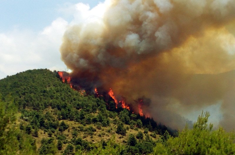 Ολονύχτια μάχη με την φωτιά στα Δερβενοχώρια -Κινδυνεύουν σπίτια | iefimerida.gr 6