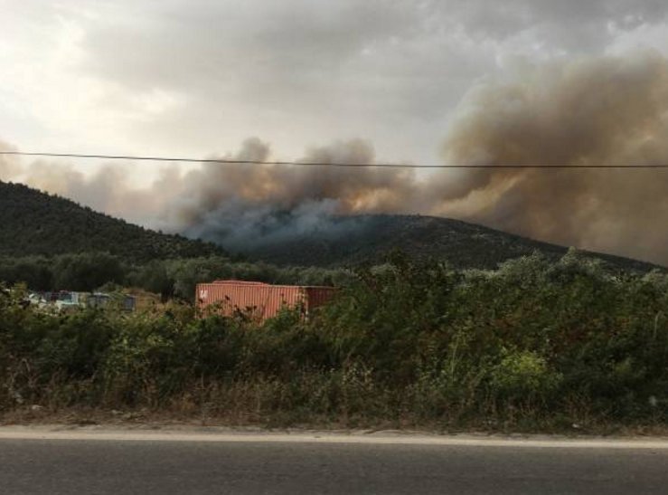 Ανεξέλεγκτη η φωτιά στη Θάσο -Πολλά μέτωπα, κάηκαν σπίτια, απειλείται χωριό | iefimerida.gr 1
