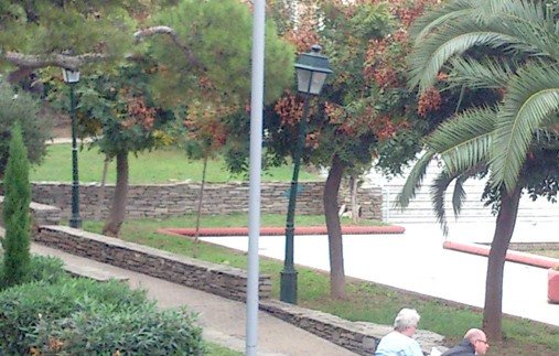 Βανδαλισμοί και κλοπές στο δίκτυο ηλεκτροφωτισμού στη Θεσσαλονίκη | iefimerida.gr 0