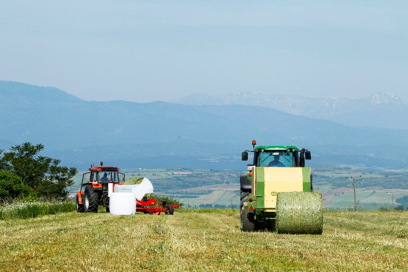 Στόχος, οι υψηλές «πτήσεις» για τις ελληνικές εξαγωγές | iefimerida.gr 2