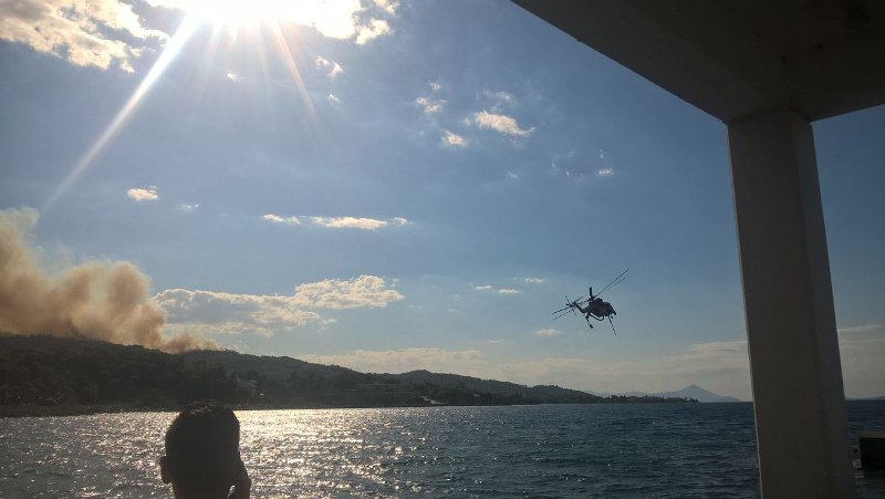 Πύρινη κόλαση: Η φωτιά άφησε καμμένη γη στον Κάλαμο -Καίγεται ο Βαρνάβας | iefimerida.gr 18