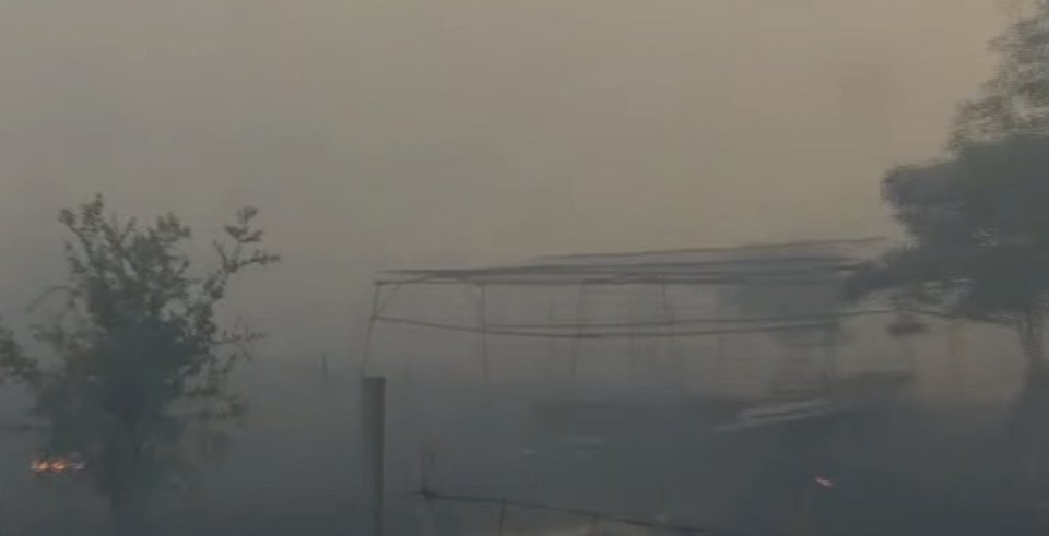 Πύρινη κόλαση: Η φωτιά άφησε καμμένη γη στον Κάλαμο -Καίγεται ο Βαρνάβας | iefimerida.gr 27
