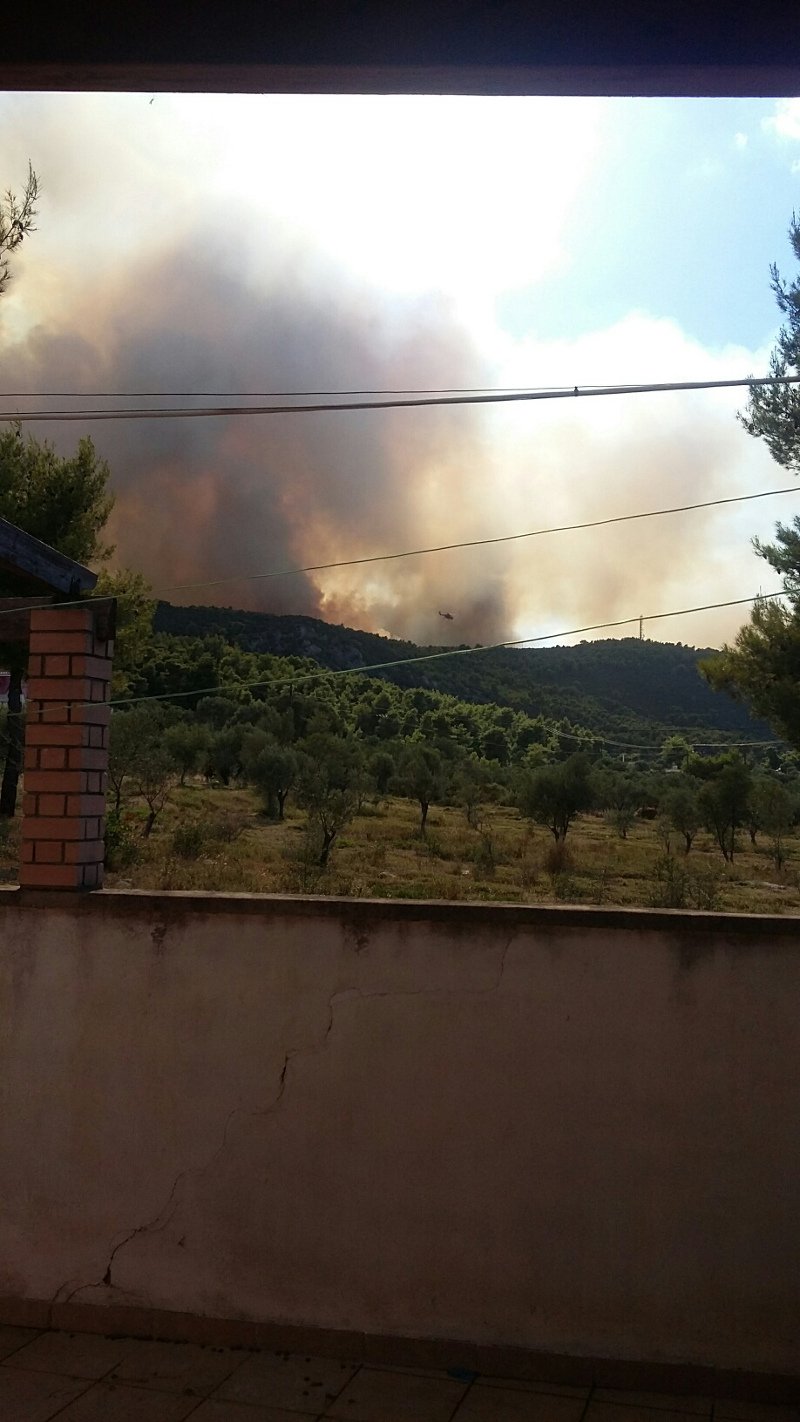 Πύρινη κόλαση: Η φωτιά άφησε καμμένη γη στον Κάλαμο -Καίγεται ο Βαρνάβας | iefimerida.gr 28