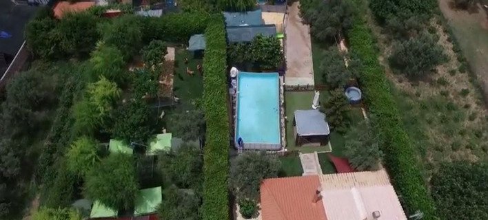 Ι LOVE DOGS: Ενα πρότυπο ξενοδοχείο σκύλων που οι φιλοξενούμενοι δύσκολα αποχωρίζονται! | iefimerida.gr 0