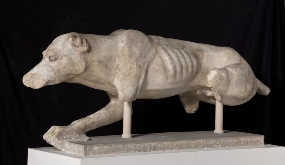 Το κυνηγετικό σκυλί της Ακρόπολης / Μουσείο Ακρόπολης, γύρω στο 520 π.Χ. (Ακρ. 143)