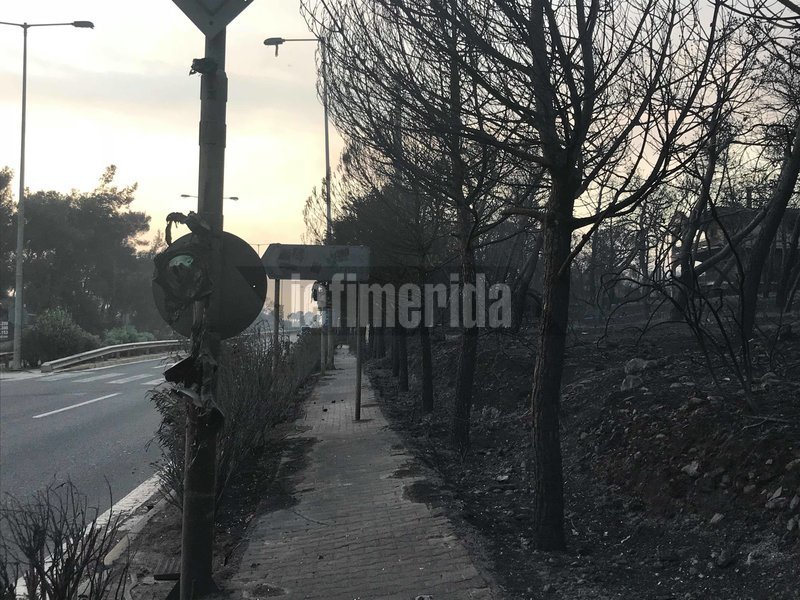 Αποκάλυψη σοκ: Υπάρχουν ακόμη 25 νεκροί στο Κόκκινο Λιμανάκι στο Μάτι | iefimerida.gr 12