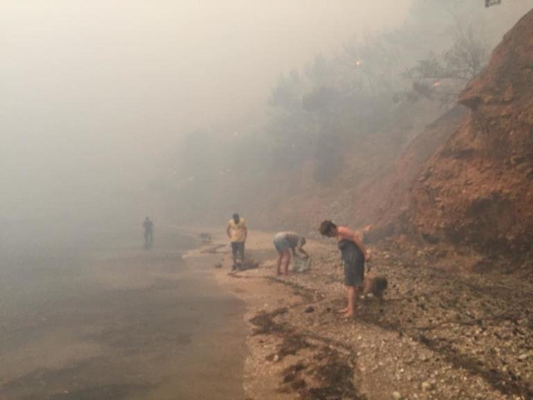 Σπαρακτικές εικόνες στο Μάτι: Εκατοντάδες άνθρωποι στην παραλία για να σωθούν | iefimerida.gr 3