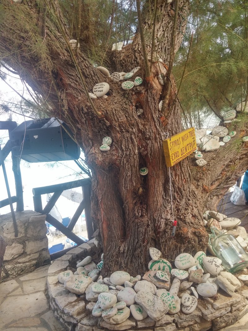 Oi τουρίστες θέλουν να το αγγίξουν, να φωτογραφηθούν δίπλα του, να γράψουν τις ευχές τους σε λευκά βότσαλα και μπουκάλια
