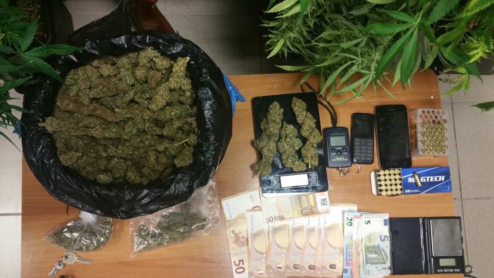 Κρήτη: Συνελήφθη 39χρονος για καλλιέργεια δενδρυλλίων κάνναβης | iefimerida.gr 0