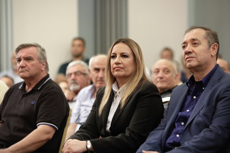 Γεννηματά: Ντέρμπι για 3 οι επόμενες εκλογές -Το Κίνημα Αλλαγής θα πάρει εντολή | iefimerida.gr 4
