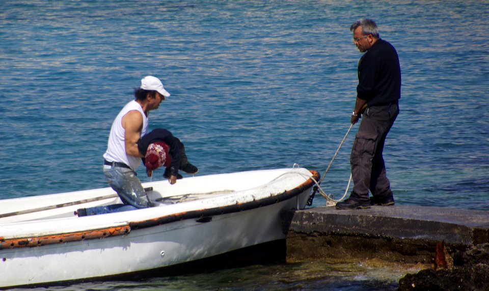 Παγώνει το αίμα: Εικόνες που συγκλονίζουν από την τραγωδία στη Ρόδο – Τέσσερις μετανάστες νεκροί, ανάμεσά τους και ένα παιδί | iefimerida.gr 14