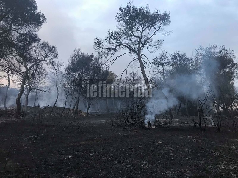 Σπαρακτικές εικόνες: «Κρανίου τόπος» η επόμενη ημέρα στο Μάτι | iefimerida.gr 0