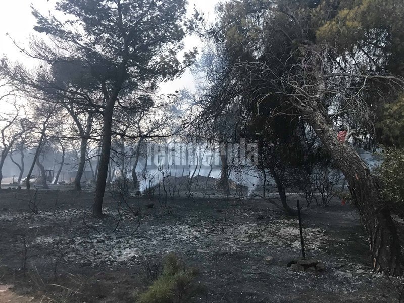 Σπαρακτικές εικόνες: «Κρανίου τόπος» η επόμενη ημέρα στο Μάτι | iefimerida.gr 4