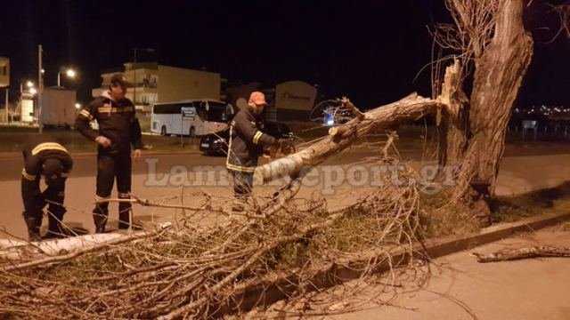 Θυελλώδεις άνεμοι 132 χιλιομέτρων/ώρα «σάρωσαν» τη χώρα | iefimerida.gr 26