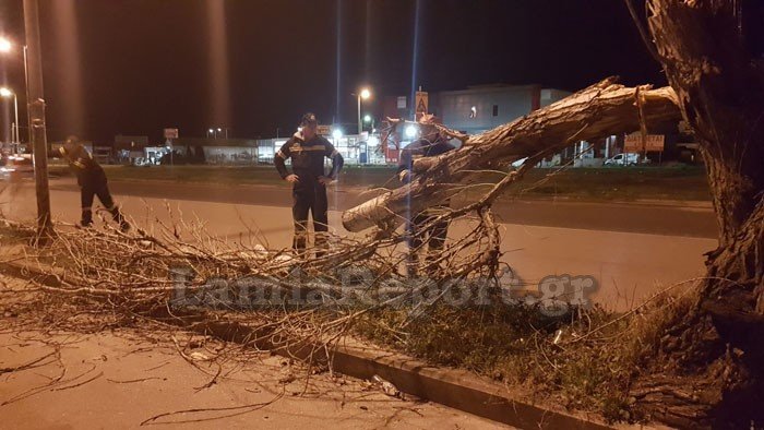Θυελλώδεις άνεμοι 132 χιλιομέτρων/ώρα «σάρωσαν» τη χώρα | iefimerida.gr 29