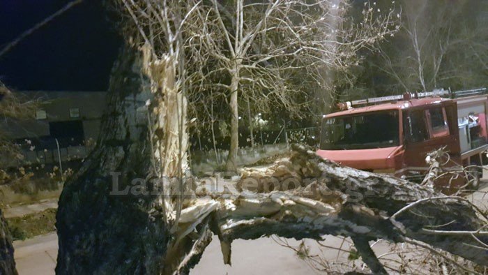 Θυελλώδεις άνεμοι 132 χιλιομέτρων/ώρα «σάρωσαν» τη χώρα | iefimerida.gr 27