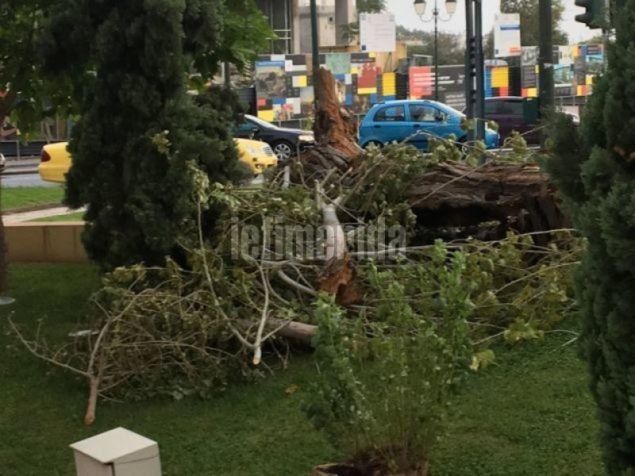 Επέλαση «Ξενοφώντα»: Πτώσεις δέντρων, δεμένα πλοία, χιόνια -Σοβαρά προβλήματα | iefimerida.gr 15