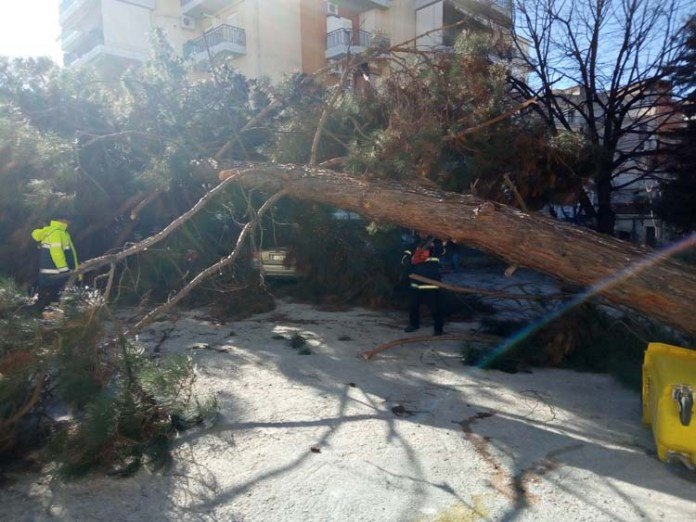 Θυελλώδεις άνεμοι 132 χιλιομέτρων/ώρα «σάρωσαν» τη χώρα | iefimerida.gr 7
