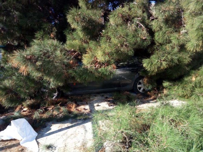 Θυελλώδεις άνεμοι 132 χιλιομέτρων/ώρα «σάρωσαν» τη χώρα | iefimerida.gr 6