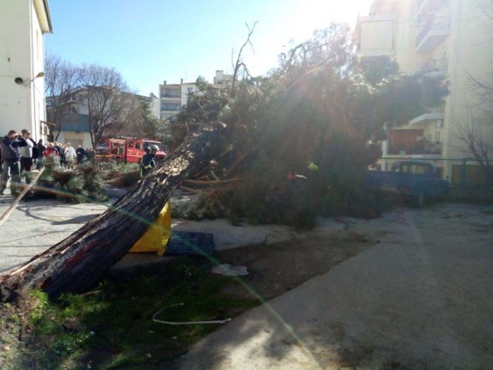 Θυελλώδεις άνεμοι 132 χιλιομέτρων/ώρα «σάρωσαν» τη χώρα | iefimerida.gr 8