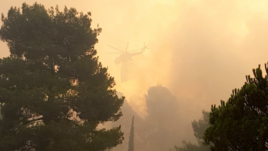 Πύρινη κόλαση στην Εύβοια – Ανεξέλεγκτη η φωτιά, στάχτη χιλιάδες στρέμματα | iefimerida.gr 2