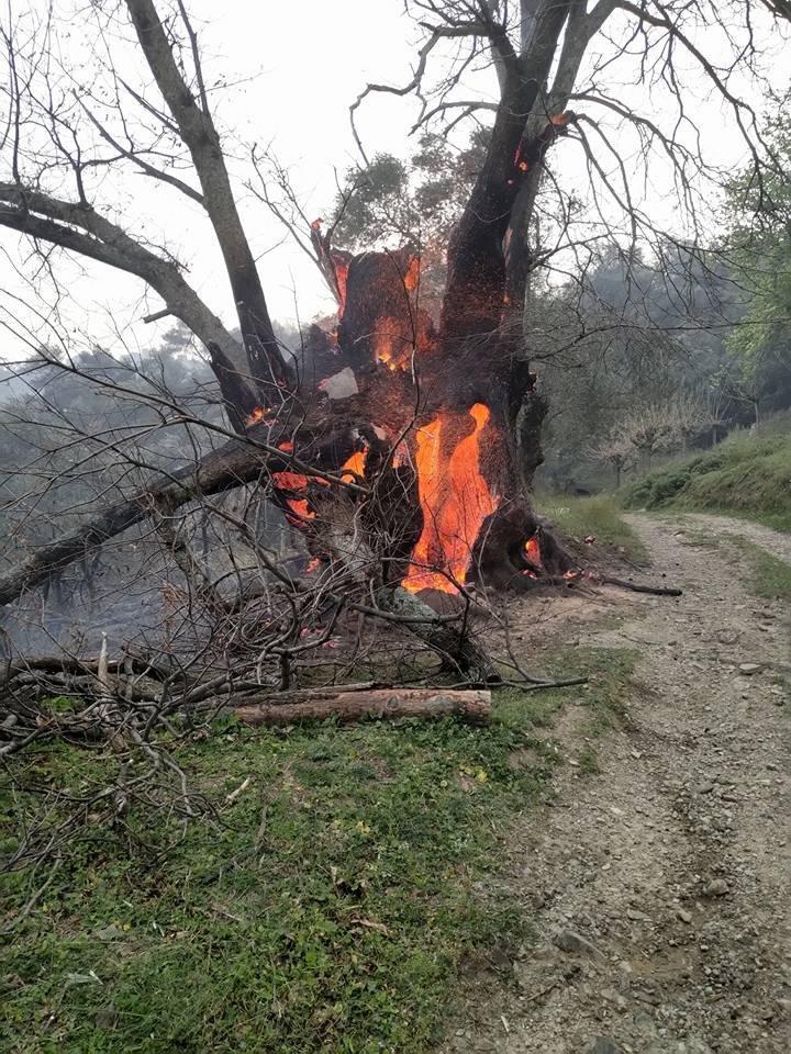 Τρελός καιρός στην Κρήτη - 30 βαθμοί θερμοκρασία, πυρκαγιές & ισχυροί άνεμοι | iefimerida.gr 0