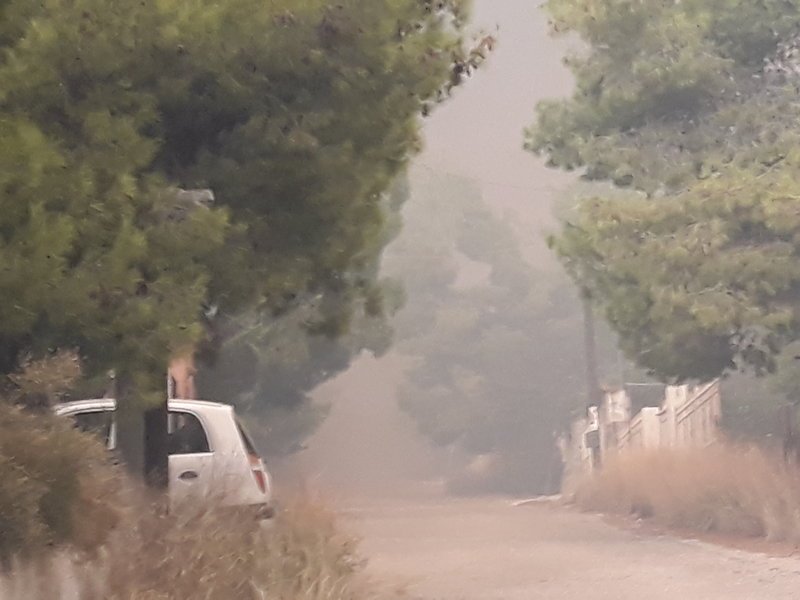 Οι καπνοί πνίγουν την περιοχή.