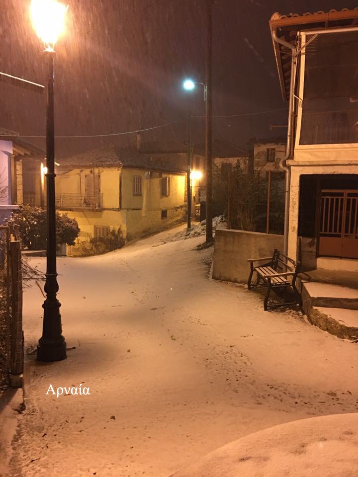Επέλαση χιονιά στη Χαλκιδική: Ντύθηκε στα λευκά, δείτε εικόνες | iefimerida.gr 2